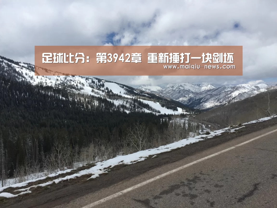 足球比分